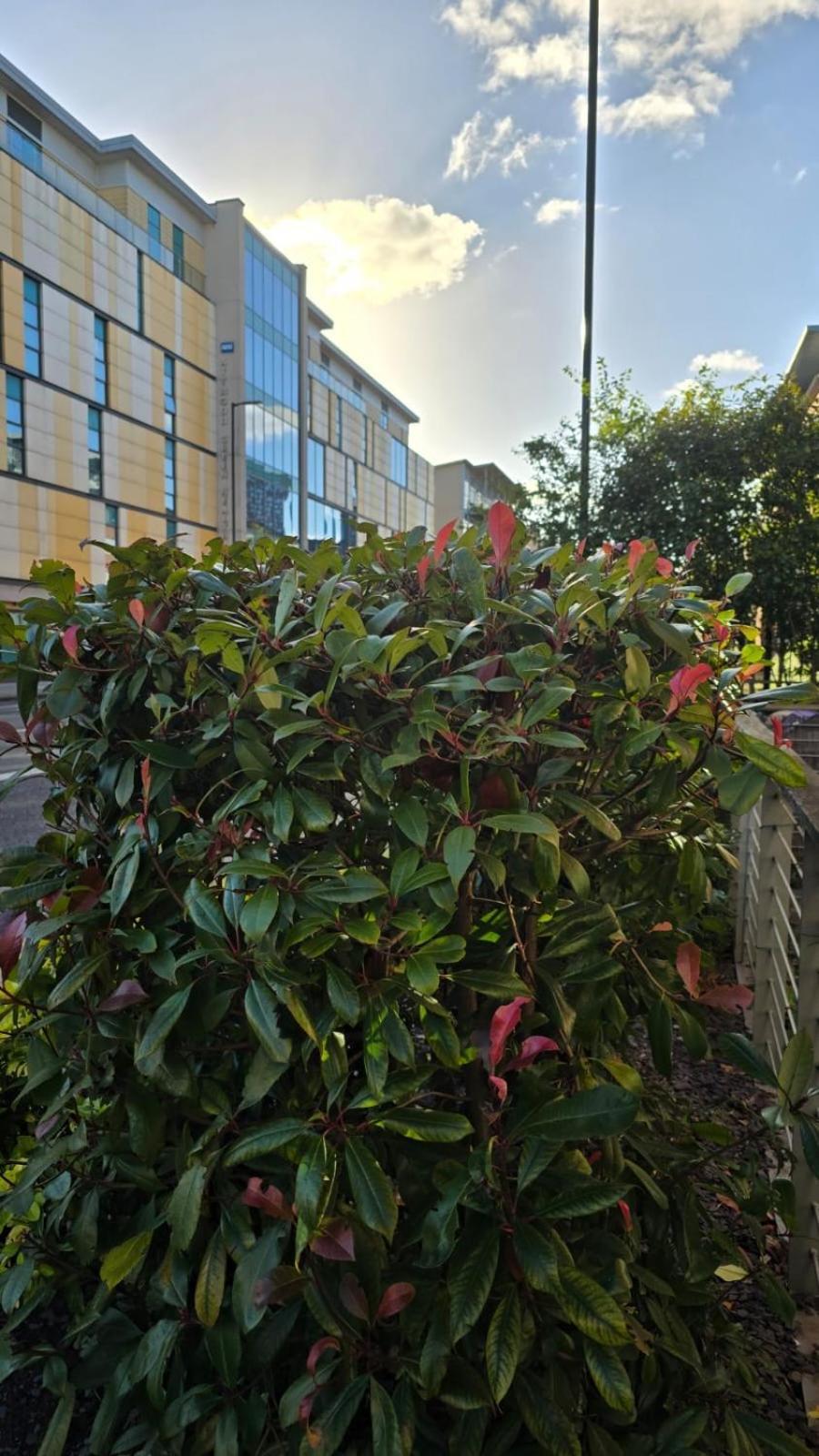 Luxury Green 1 Bed City Centre Apartment Close To Mailbox,Bullring, Broad Street For Leisure And Families Birmingham Eksteriør billede